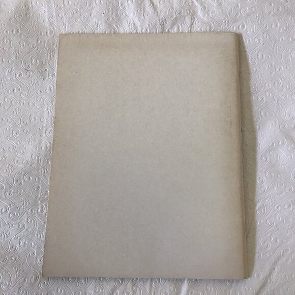 Amina and Muhammads Special Visitor Paperback 1982 Middle East Culture Awareness - Picture 3 of 9